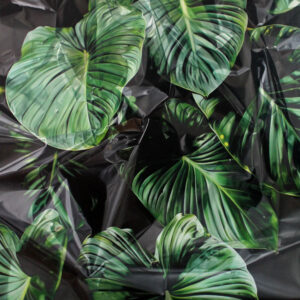 Philodendron Gloriosum